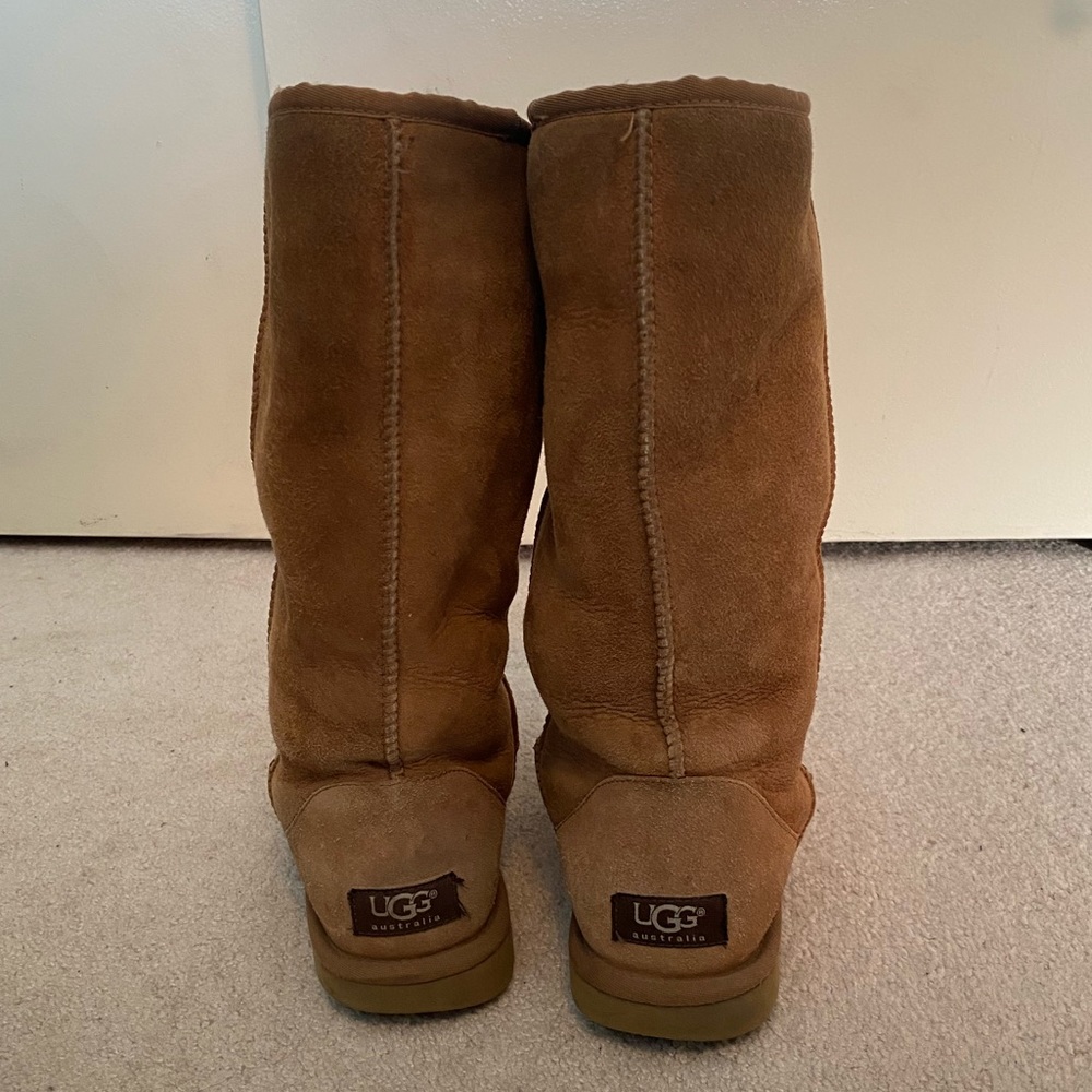 UGG Tall Boots in Chestnut